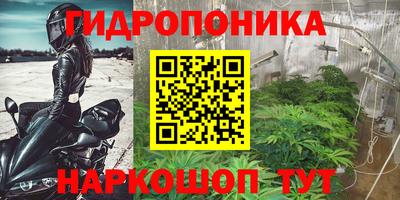 индика Пугачёв