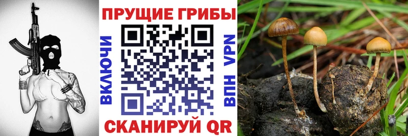 Галлюциногенные грибы ЛСД Нефтеюганск